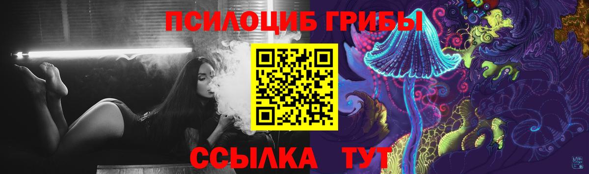 Кыштым  Галлюциногенные грибы Cubensis  Вход с VPN 