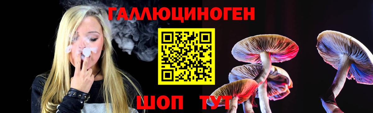 Псилоцибиновые грибы GOLDEN TEACHER Кыштым